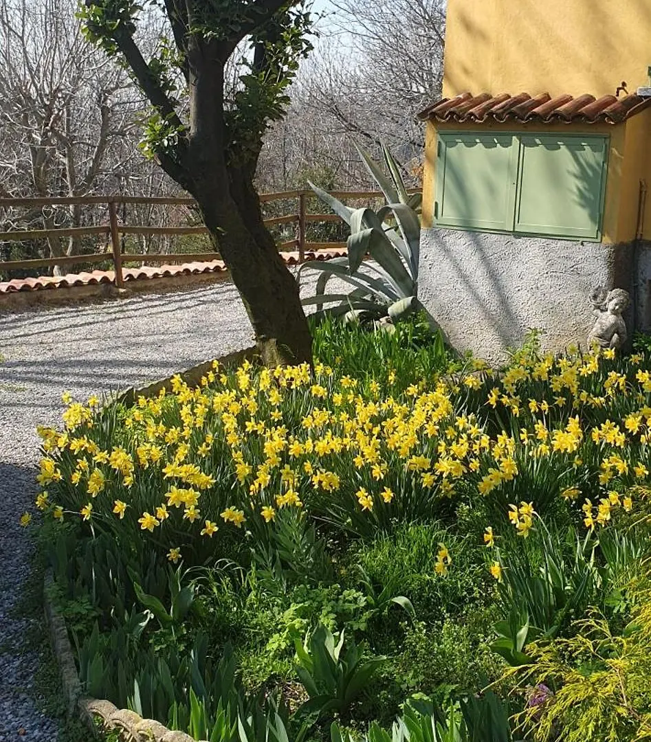 Casa Vacanza Cascina Ronco- Natura E Relax Vicino Lago Di Como Erba Appartement
